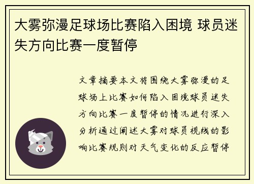 大雾弥漫足球场比赛陷入困境 球员迷失方向比赛一度暂停