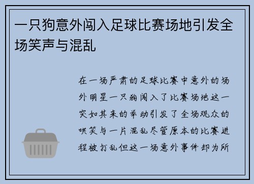 一只狗意外闯入足球比赛场地引发全场笑声与混乱