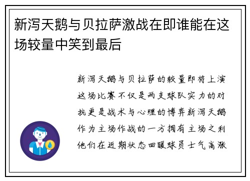 新泻天鹅与贝拉萨激战在即谁能在这场较量中笑到最后